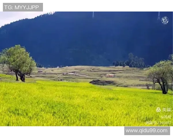 刘秀英分享攀岩技巧与心得体会助你轻松征服高峰之路